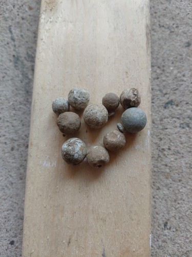 Musket ball - musket, ball.