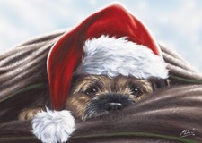 Border Terrier Christmas cards pack of 10 'Border Claus' by Paul Doyle C719x