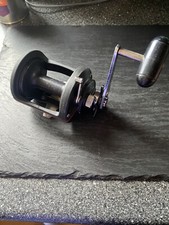 DAIWA SEALINE SL25H Boat Reel