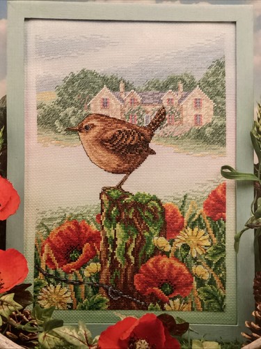 Wren portrait poppy flowers - poppy,