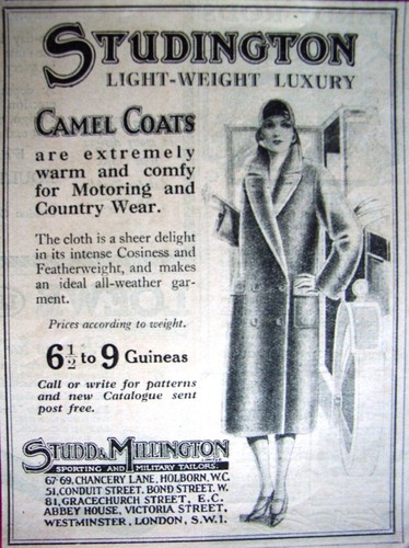 Studington ladies camel - ladies, camel-hair