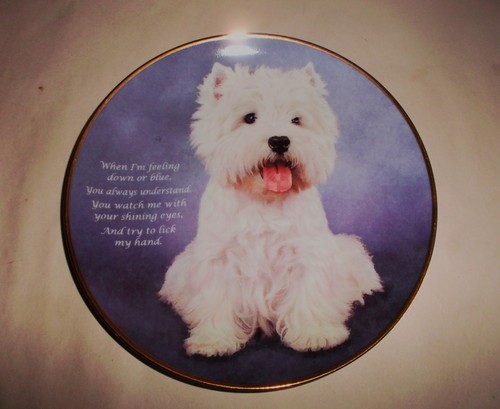 Danbury mint understanding - mint,,
