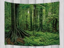 Green Plant Wall Art Extra