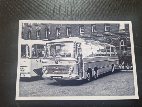 Creamline bordon bedford - -,
