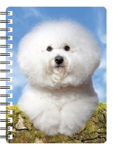 Bichon frise notebook - 3d,