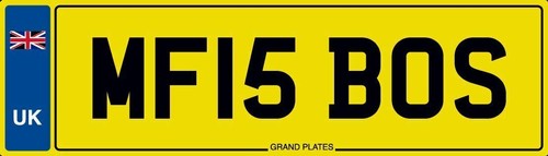 Boss number plate - is,