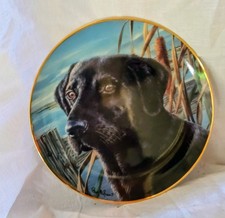 Vintage Franklin Mint Labrador