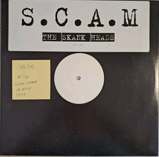 Skunk Anansie The Skank Heads Vinyl Record VG/VG VDJ2881 1997