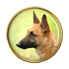 Belgian shepherd dog - belgian,
