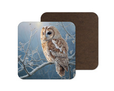 Tawny Owl Winter Bird Animal