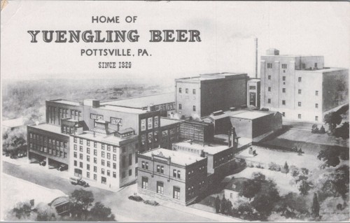 Home yuengling beer - home,