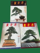 Vintage Lot / 3 Bonsai World