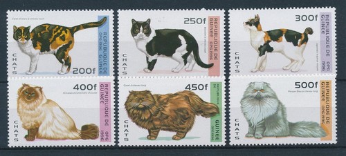 26138 guinea 1996 - 1996, cats