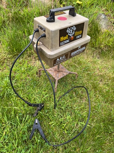Hotline kestrel electric - p1,