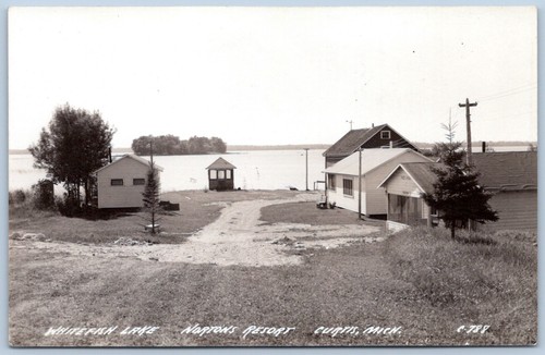Postcard rppc curtis - postcard, mi