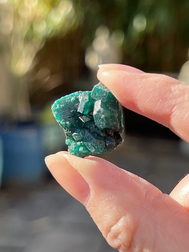 Dioptase crystal gemmy emerald - dioptase,