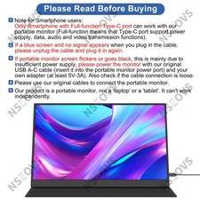NSEOVS 15.6" Portable Monitor