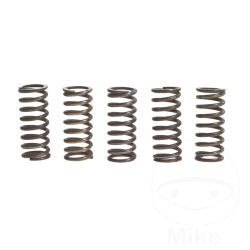 Trw clutch spring kit - trw,