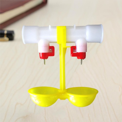 Pcs chicken feeders and - pcs,