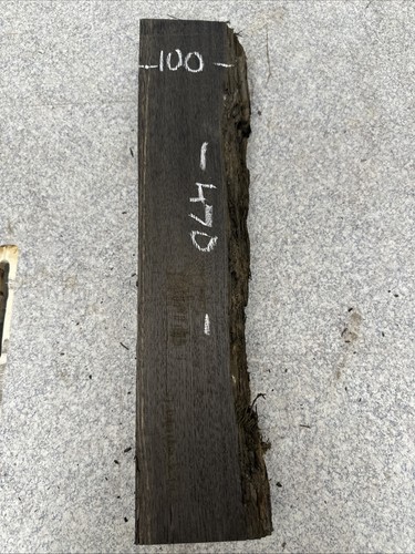 Bog oak 470 100 - oak, thickness
