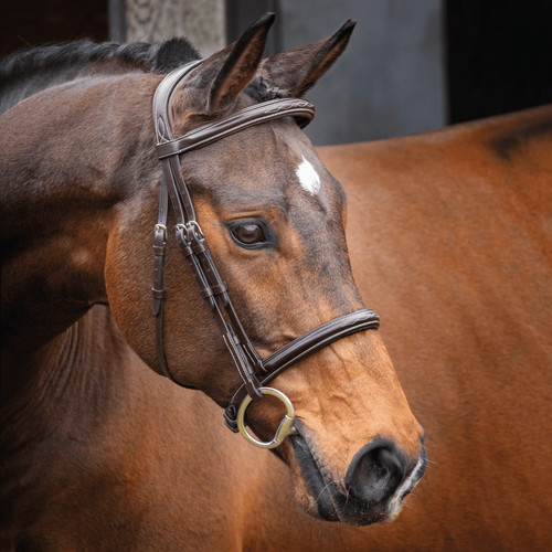 Shires velociti lusso hunter - lusso,