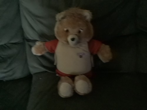 The world teddy ruxpin - the,