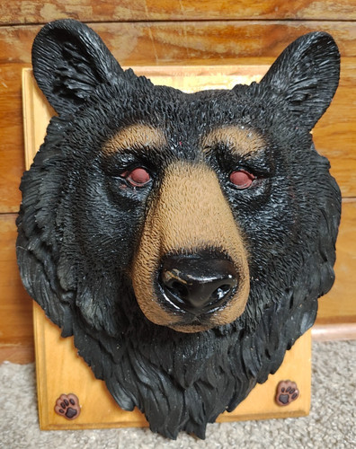 Black bear head wall - 3d,