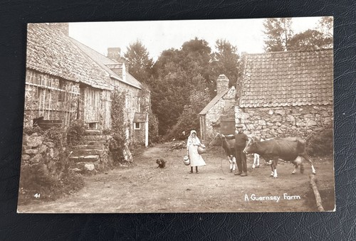 Guernsey farm real - a,