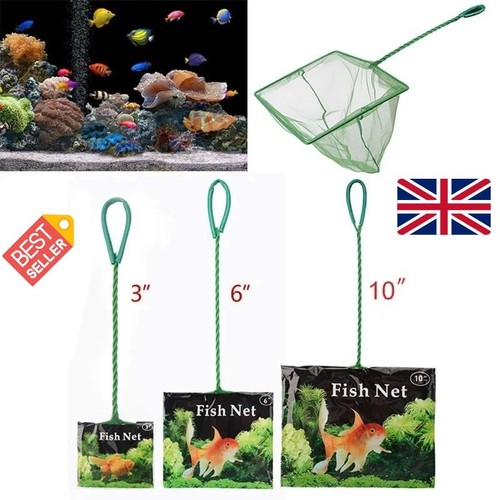 Aquarium fish net - fish, tropical