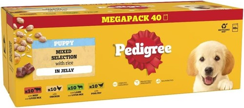 Pedigree puppy wet - puppy, dog