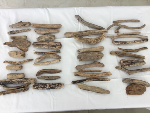 Driftwood pieces 42 - pieces, x