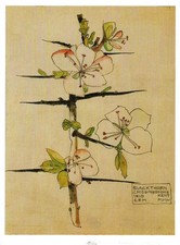 Postcard Charles Rennie