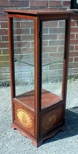 Edwardian antique display