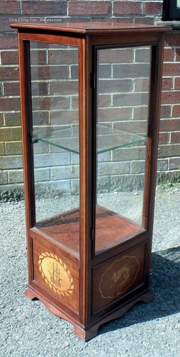 Edwardian antique display
