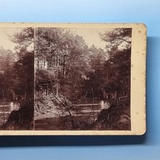 Woodland Path Stereoview C1895
