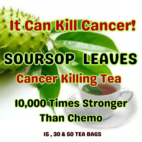 Organic soursop leaves tea - soursop,