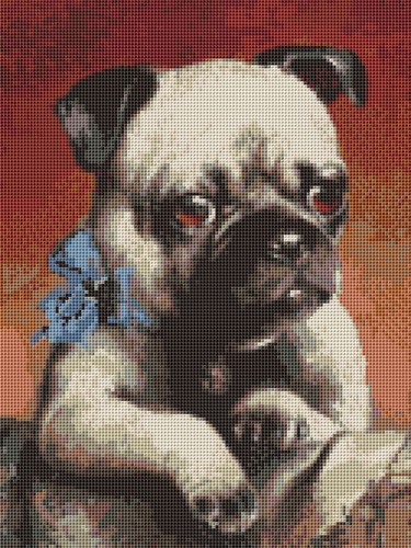 Pug dog puppy counted - puppy,