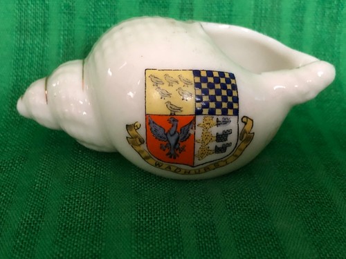 Crested china seashell - china, seashell-