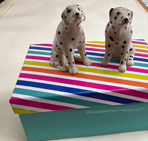 Dalmatian dog ceramic salt - salt, &