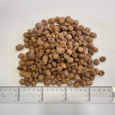 Large Tiger Nuts For Fishing