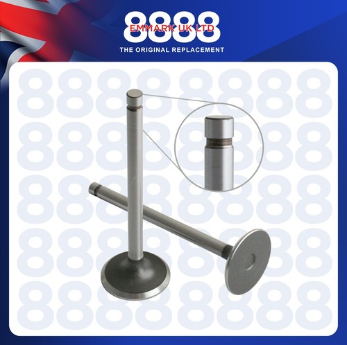 Inlet valve for ford new - inlet,
