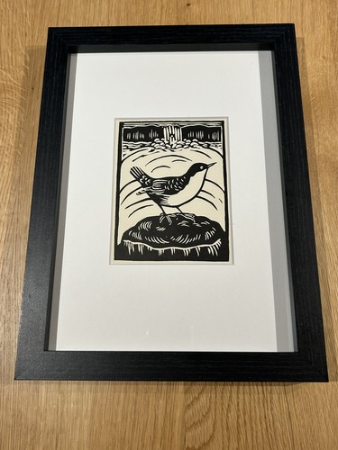 Dipper framed woodcut - ‘dipper’-,
