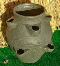 Large Garden Strawberry