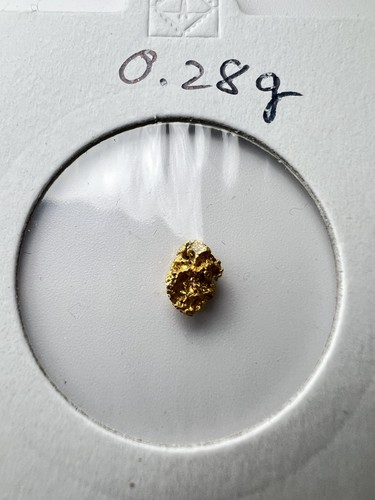 Gold nugget hand - hand, panned