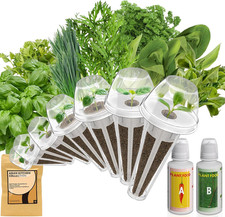 Herb Seed Pods Kit for