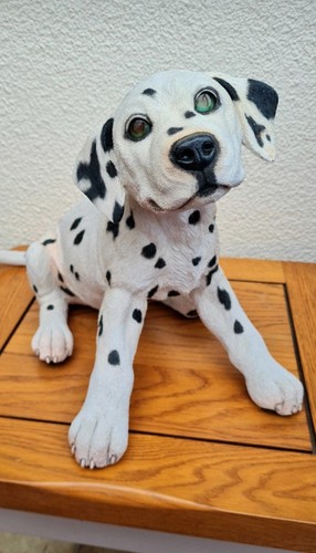 Large heavy dalmatian dog - heavy,