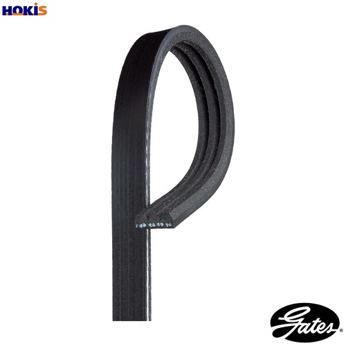 Vribbed belt 3pk913 - vribbed, fiat