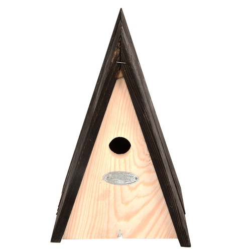 Save triangular blue tit - 50%!!,