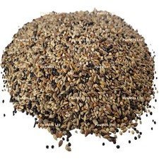 British finch - to, 20kg)
