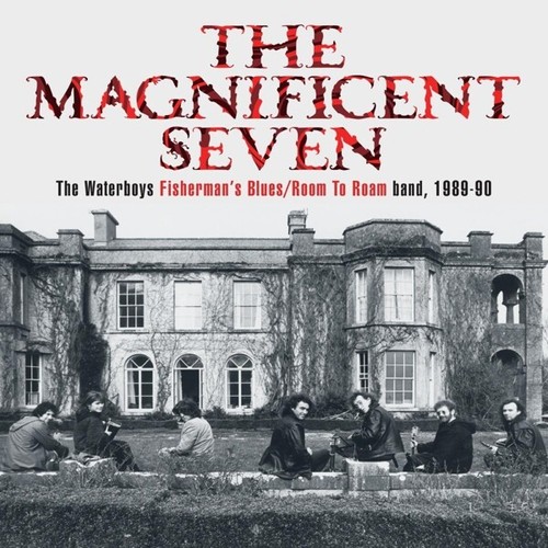 The waterboys - waterboys,